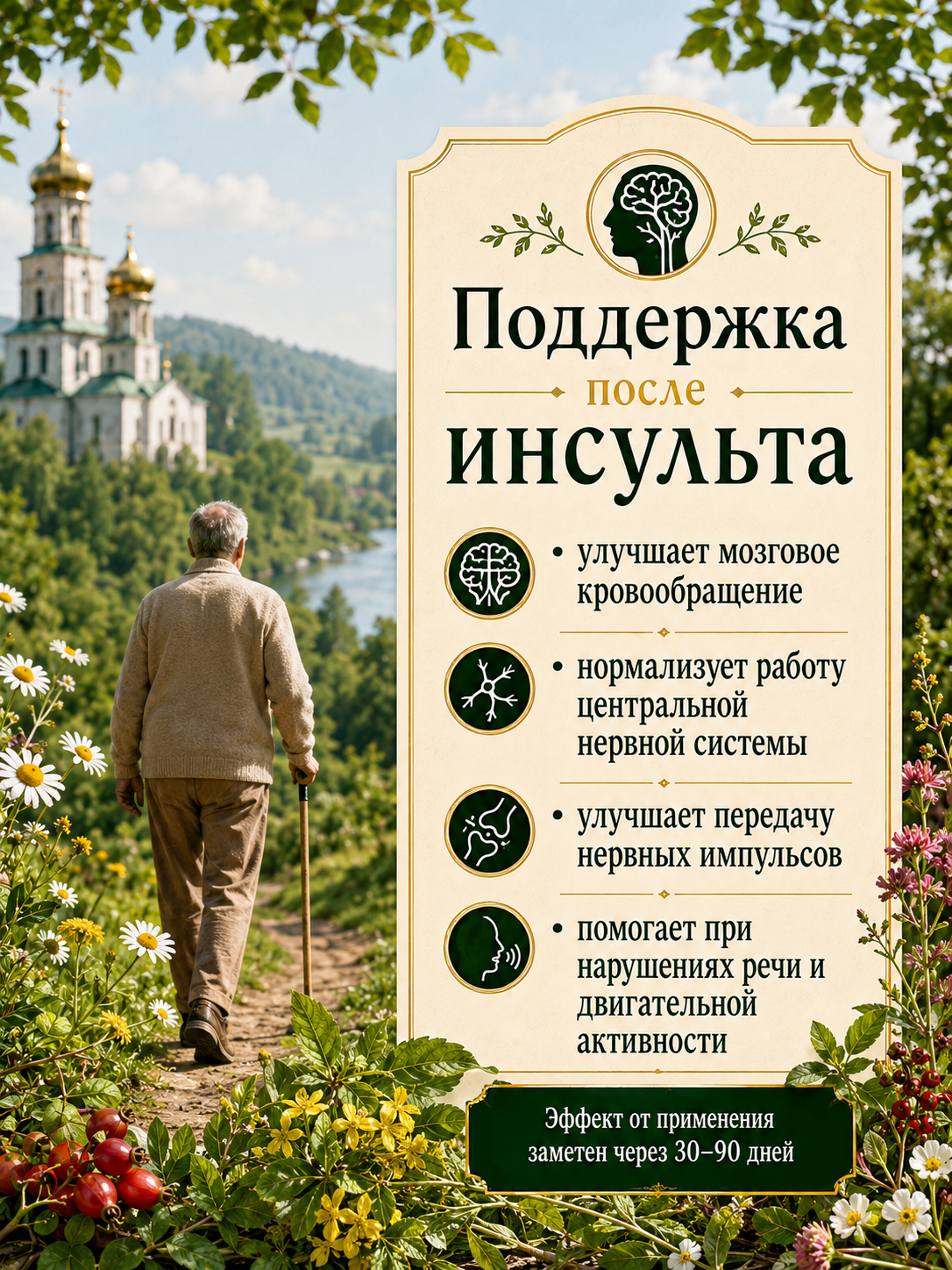 Микстура на травах "При диагнозе инсульт", 200мл